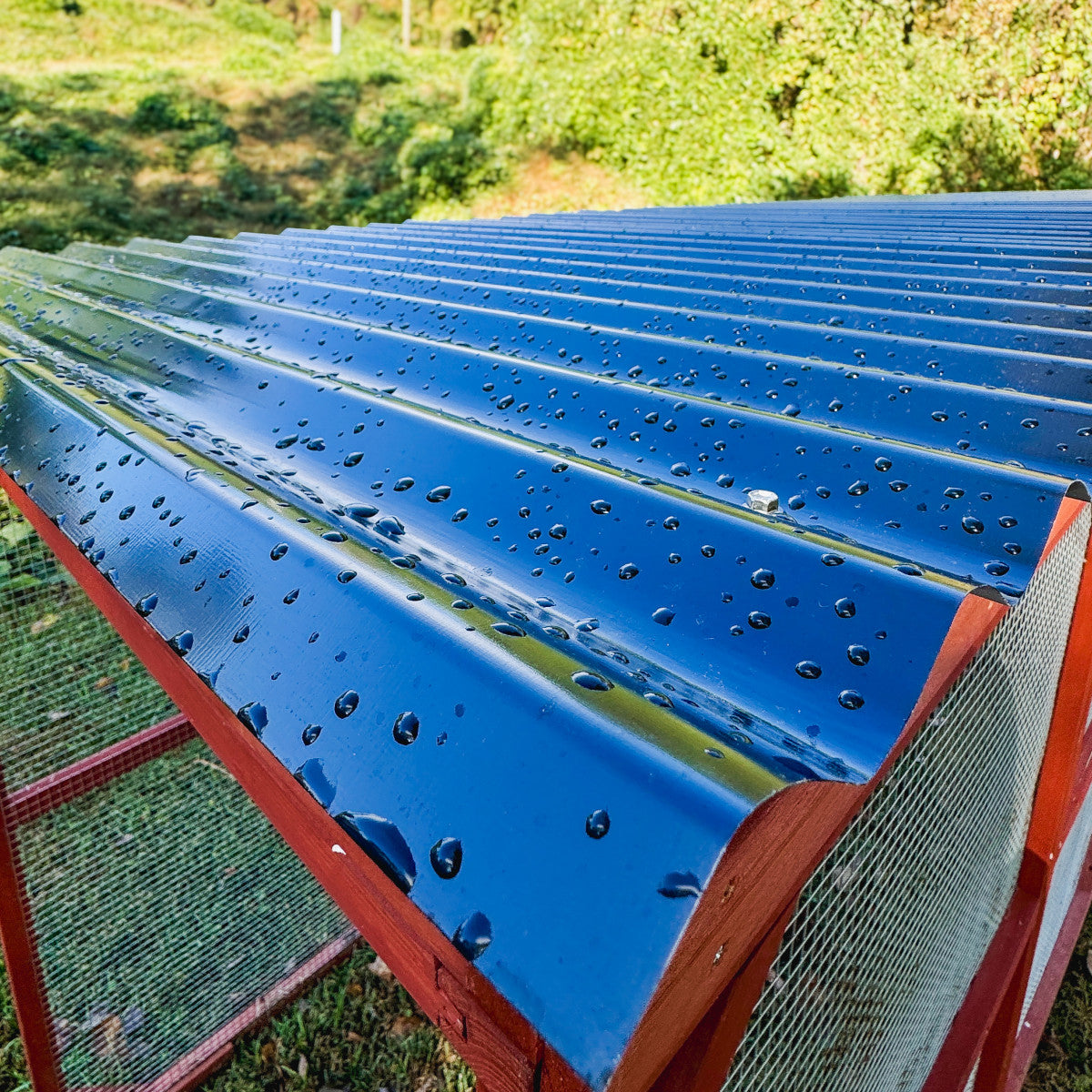 Metal Roof for Chicken Coop Run Extension (Orpington & Rhode Island)