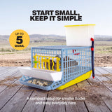 Cimuka by Hatching Time compact quail cage with birds inside and eggs in the collection tray, showing capacity for up to 5 quail