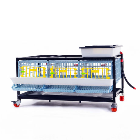 Cimuka by Hatching Time 1-layer quail breeding cage with three front doors, roll-out egg trays, water tank, and wheeled stand