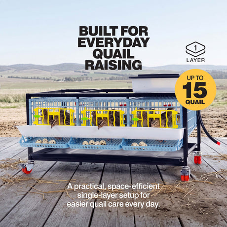 Single-layer quail breeding cage holding up to 15 quail, with front egg collection trays and a water tank
