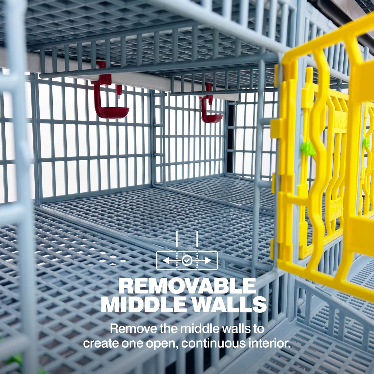 Interior of the quail breeding cage showing removable middle walls and a yellow access door
