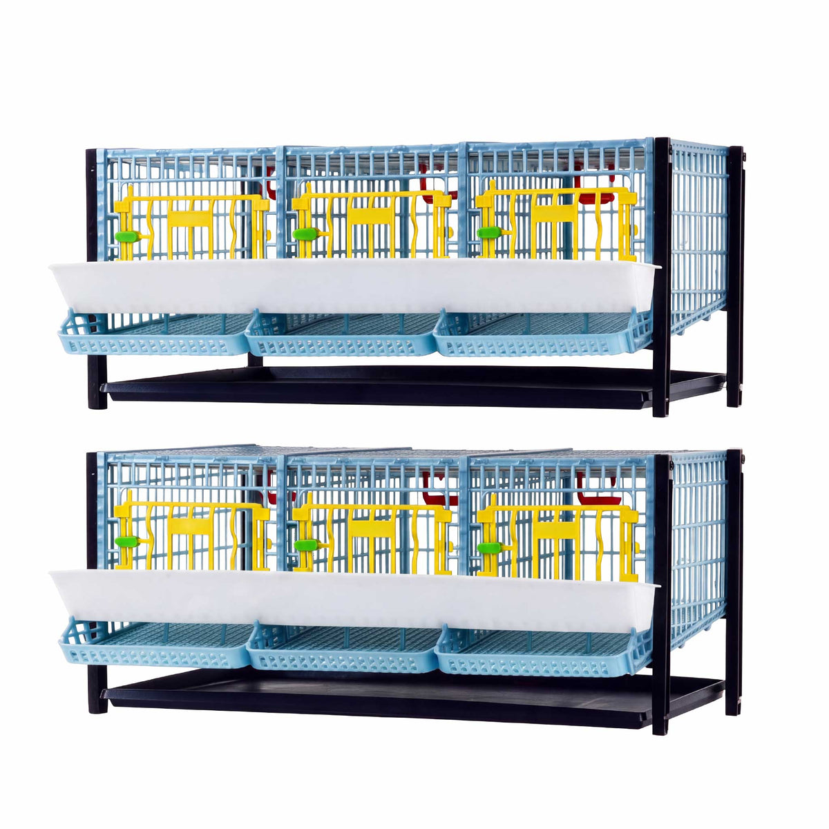Cimuka by Hatching Time quail cage double layer addition with three sections per layer, feeders, egg trays and waste trays