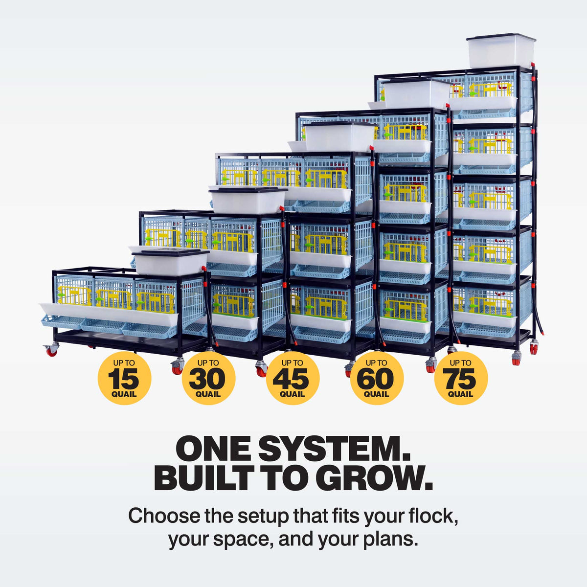 Cimuka by Hatching Time quail cages in one- through five-layer configurations for up to 15, 30, 45, 60 and 75 quail
