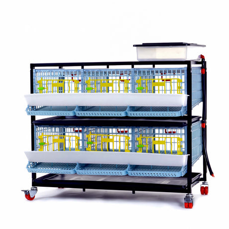 Cimuka by Hatching Time 2-layer quail breeding cage with six front access doors, roll-out egg trays, water tank, and caster wheels