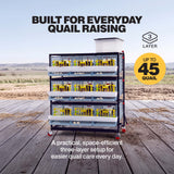 Three-layer quail breeding cage for up to 45 quail, with birds and roll-out egg trays on each level