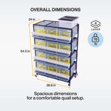 Four-layer quail breeding cage dimension graphic showing 38.6-inch width, 24-inch depth, and 64.5-inch height
