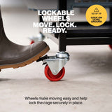 Foot pressing the lock on a red caster wheel attached to the quail breeding cage stand