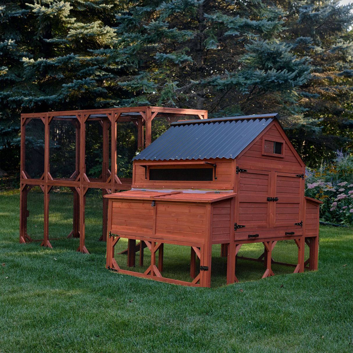 Chicken Coop for 15-18 Chickens - Brahma Large Coop w/ Run Options