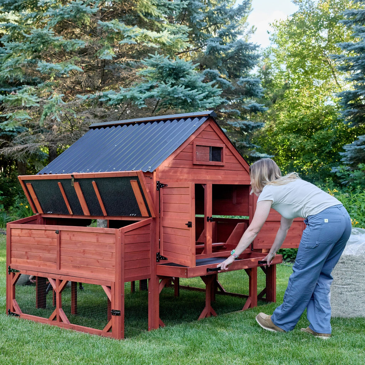 Chicken Coop for 15-18 Chickens - Brahma Large Coop w/ Run Options