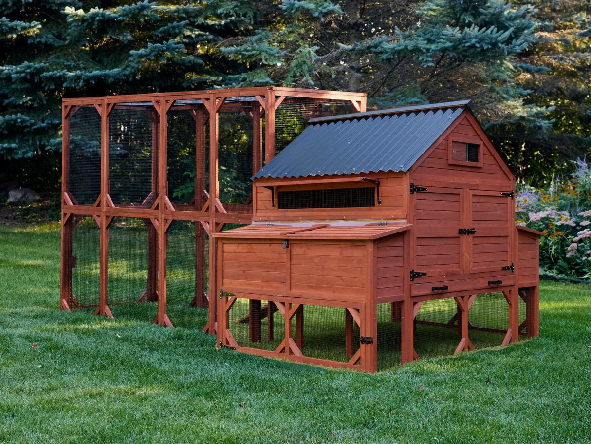 Rhode Island Homestead chicken coop with walk in run