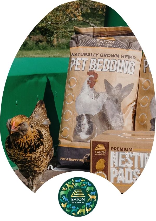 Hatching Time Eaton. Pet bedding bag and Nesting pads can be seen next to a chicken.