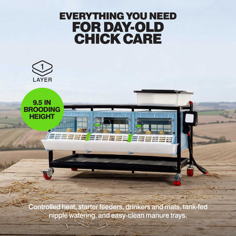 Chick Brooder - 1 Layer H: 9.5"