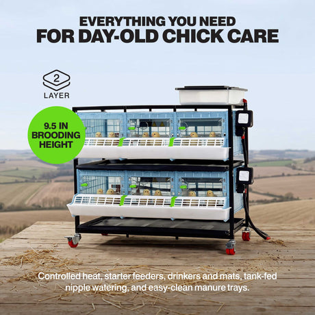 Chick Brooder - 2 Layer H: 9.5"