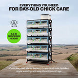 Cimuka 5-layer chick brooder infographic showing stacked brooding compartments with integrated heating, feeding, and watering systems for young poultry.
