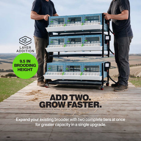 Chick Brooder - H:9.5" Double Layer Addition