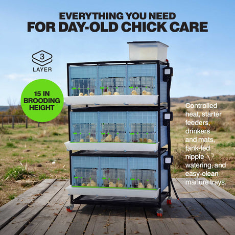 Chick Brooder - 3 Layer H: 15"