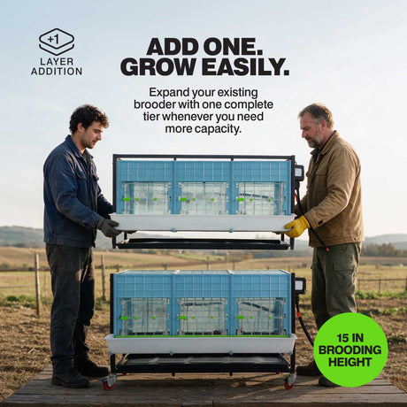 Chick Brooder - H:15" Layer Addition
