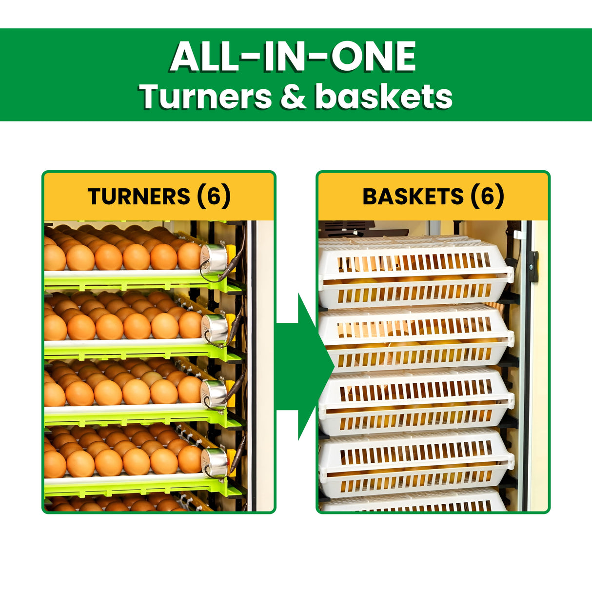 CT180 SH - Egg Incubator - Setter & Hatcher