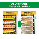 CT180 SH - Egg Incubator - Setter & Hatcher