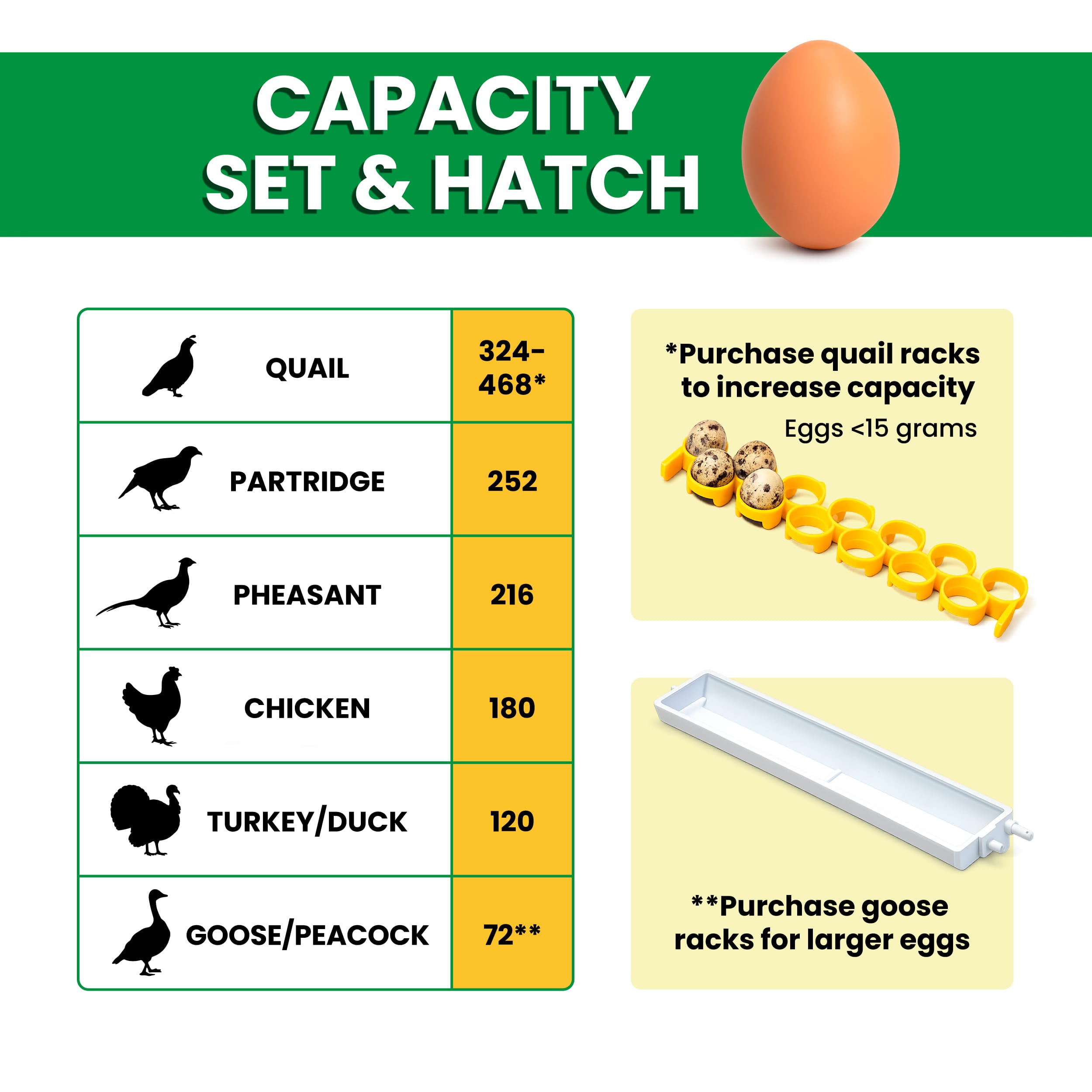 HATCHING GOLD ハッチング CT 180 Cimuka Egg Incubator - Setter & Hatcher | Hatching Time