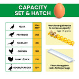 CT180 SH - Egg Incubator - Setter & Hatcher