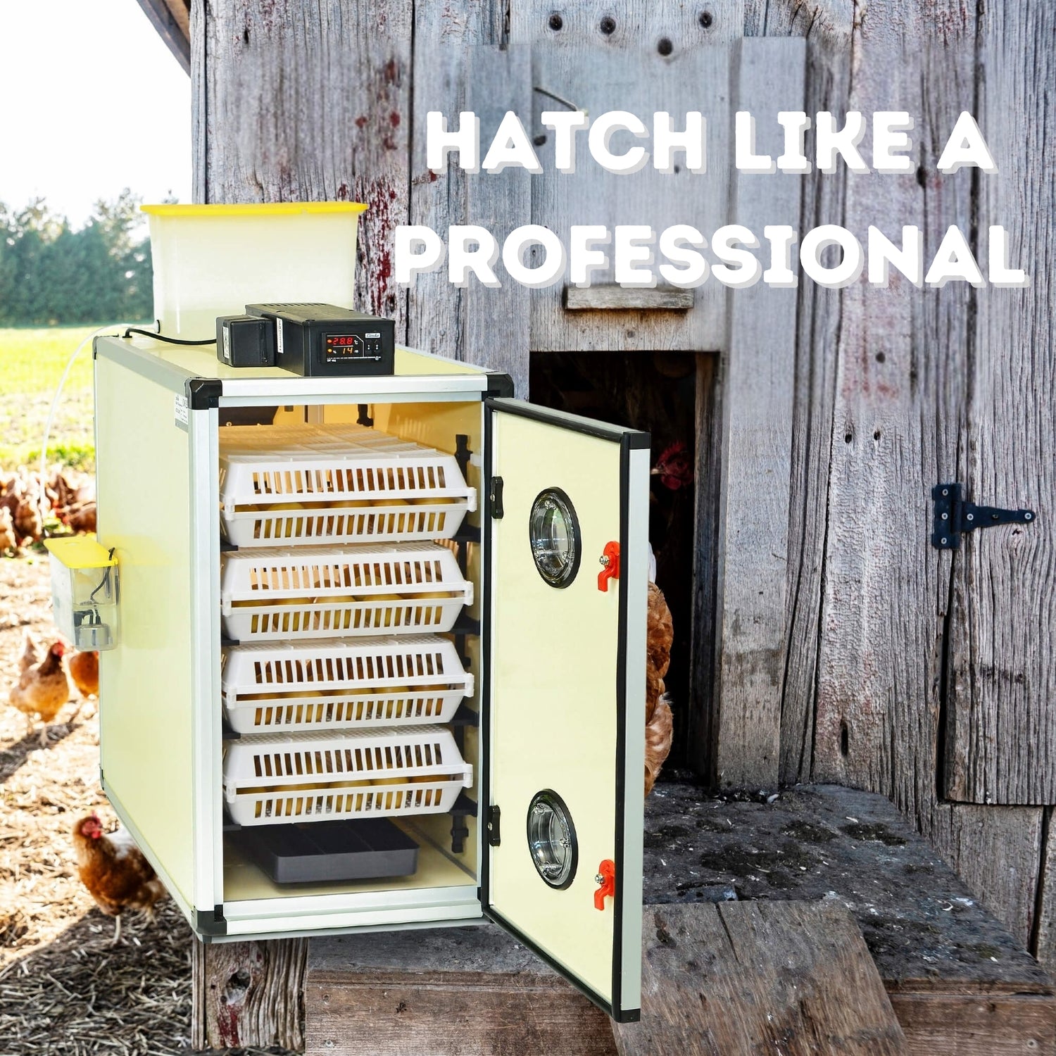 Hatching Time CT Hatcher can be seen in image next to chicken coop.