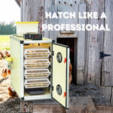 Hatching Time CT Hatcher can be seen in image next to chicken coop.