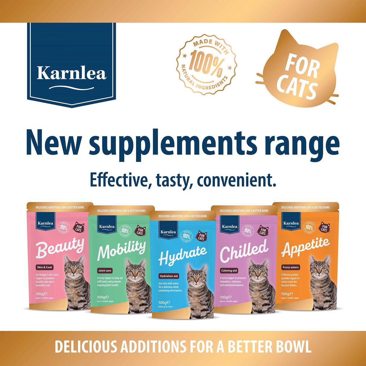 Chilled - Calming Aid for Cats