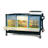 Hatching Time Cimuka 1 Layer 15 Inch Brooder front visible with light on. Feeding trough is located on front of brooders. Clear plastic doors with locks can be seen. Heater thermostat visible on side of brooders. Brooders are on Metal frame with rolling casters for mobility.