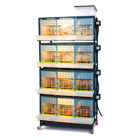 Hatching Time Cimuka 3 Layer 15 Inch Brooder front visible with LED lights on inside. Feeding trough is located on front of brooders. Clear plastic doors with locks can be seen. Heater thermostat visible on side of brooders. Brooders are on Metal frame with rolling casters for mobility.