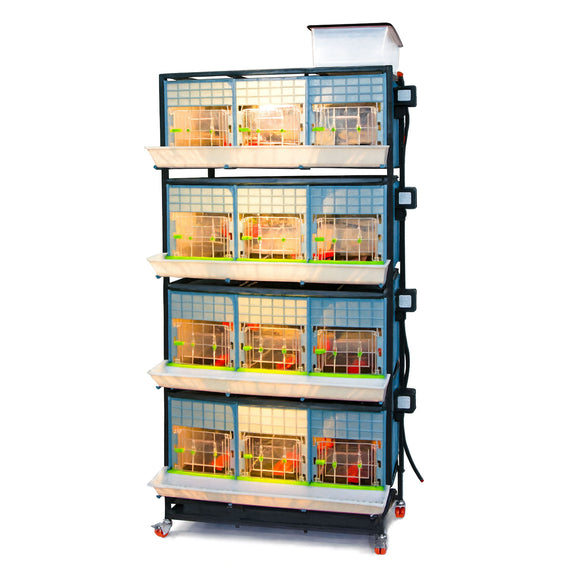 Everything You Need to Know About a Chicken Brooder – Hatching Time