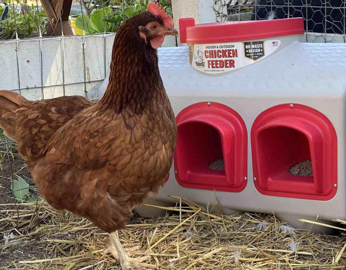 Chicken Feeder - 50 Pounds