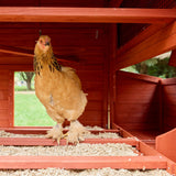 Chicken Coop for 6 Chickens - Orpington Lodge with Run Options