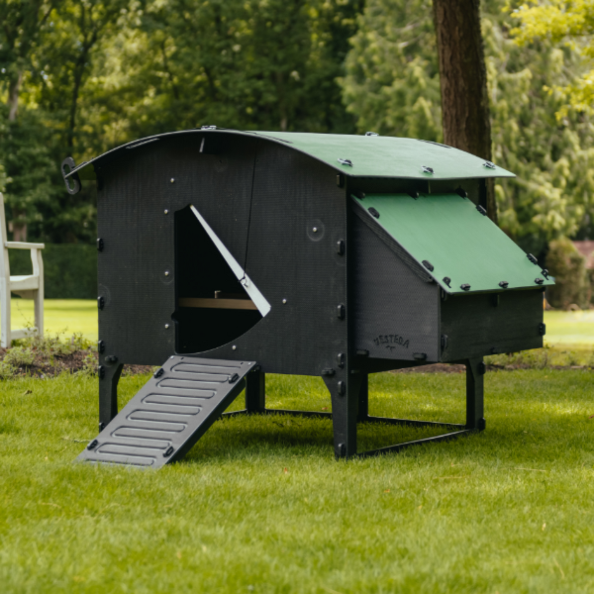 Hatching Time Nestera. Large lodge chicken coop can be seen in image on grass with door open. Nesting box is on side of coop. Ramp is leading up to coop door.