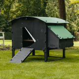 Hatching Time Nestera. Large lodge chicken coop can be seen in image on grass with door open. Nesting box is on side of coop. Ramp is leading up to coop door.