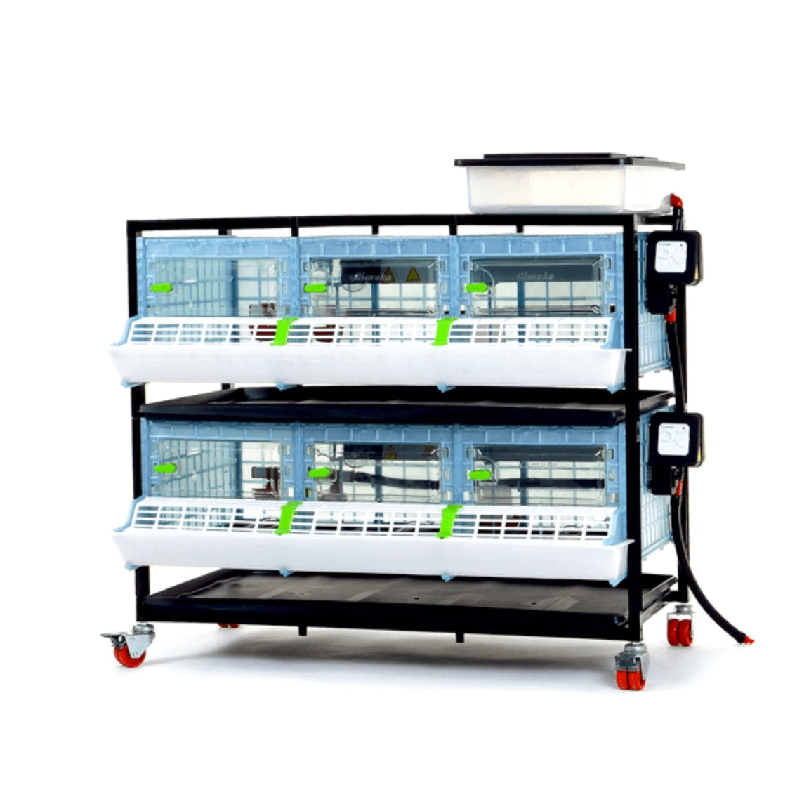 Brooder Boxes For Baby Chicks And Game Bird Brooders | Hatching Time