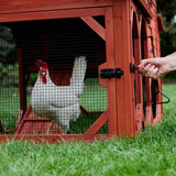 Chicken Coop for 4 Chickens - Leghorn Cottage Backyard Coop