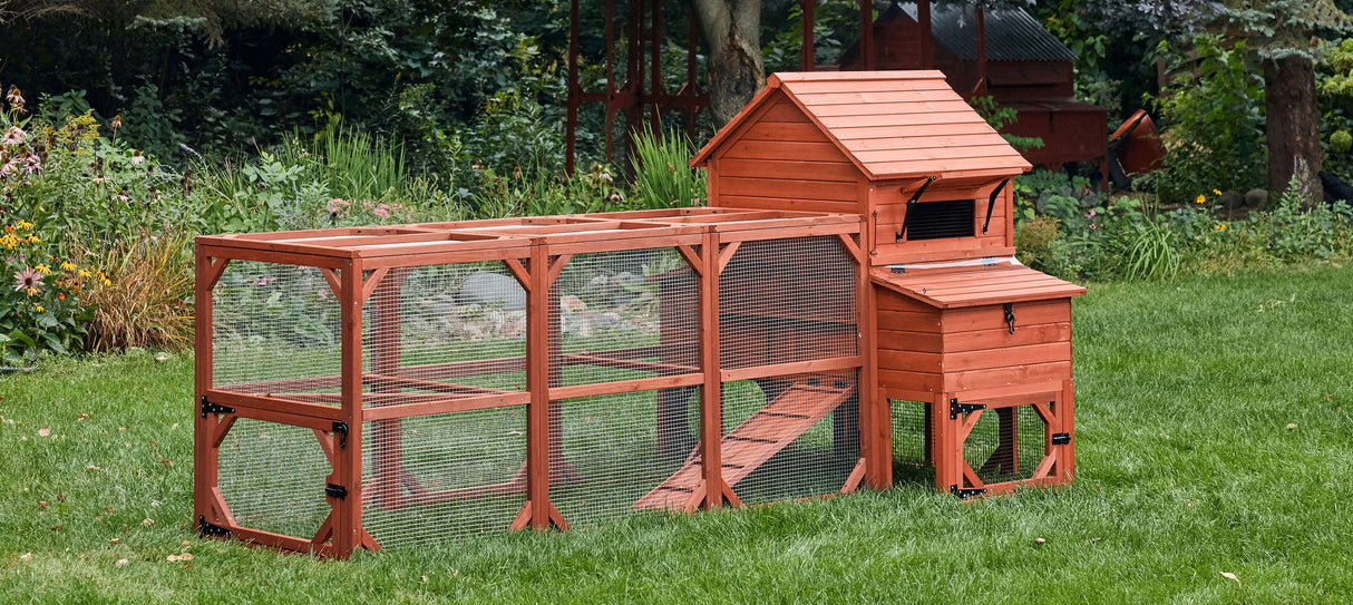Chicken Coop for 6 Chickens - Orpington Lodge with Run Options