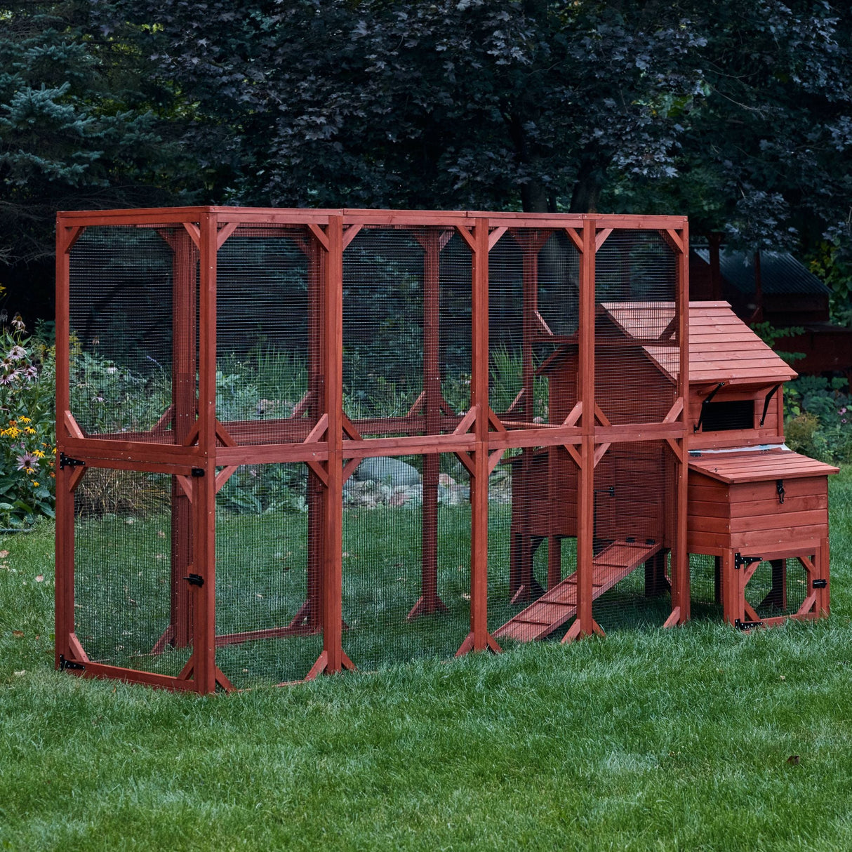 Chicken Coop for 6 Chickens - Orpington Lodge with Run Options