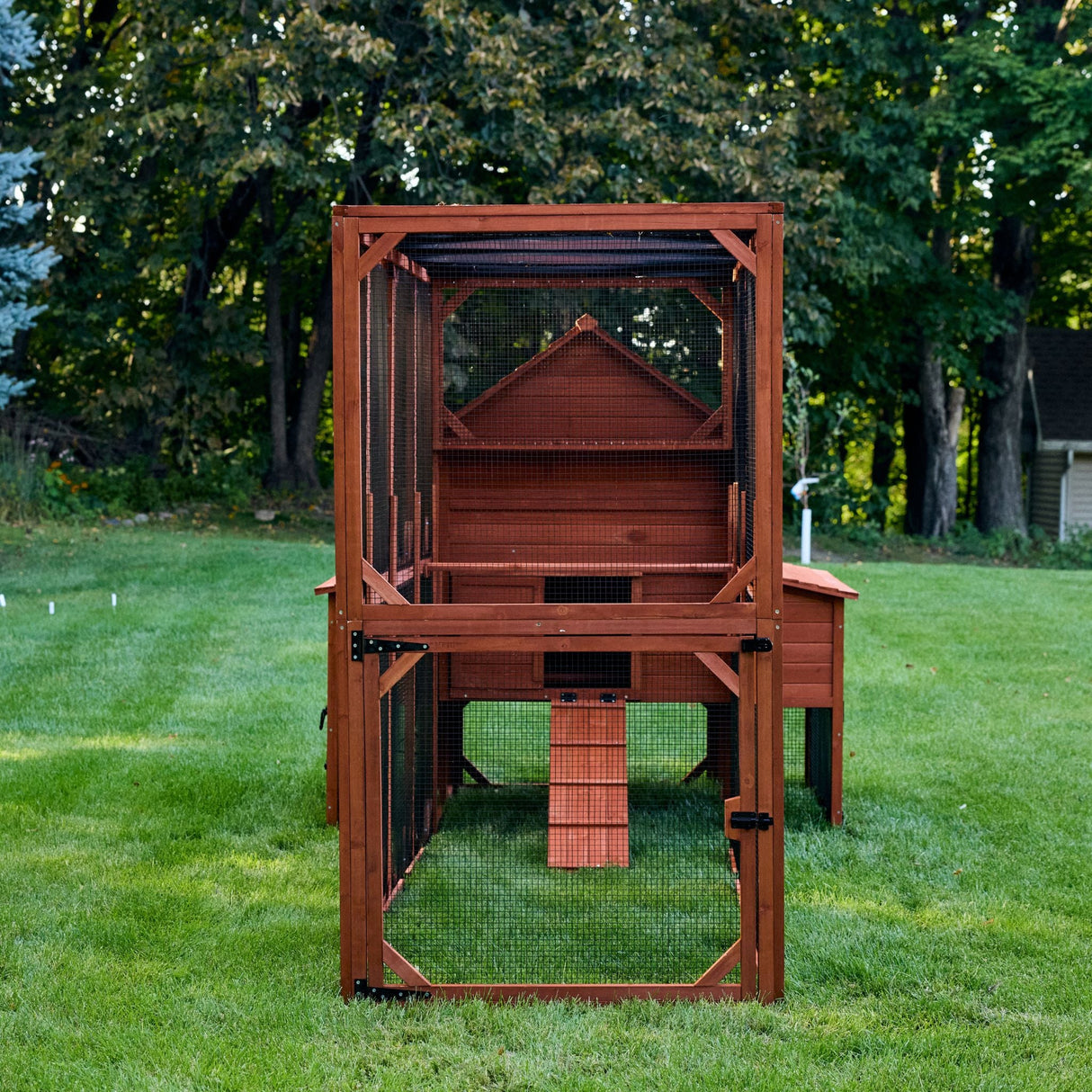 Chicken Coop for 10 Chickens - Rhode Island Homestead w/ Run Options