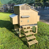 Stand and stairs for Formex Standard and Large chicken coop. Image showing assembled coop stand and stairs under Large Chicken Coop closed door.