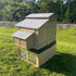 Stand and stairs for Formex Standard and Large chicken coop. Image showing assembled coop stand and stairs under Large Chicken Coop. Rear View