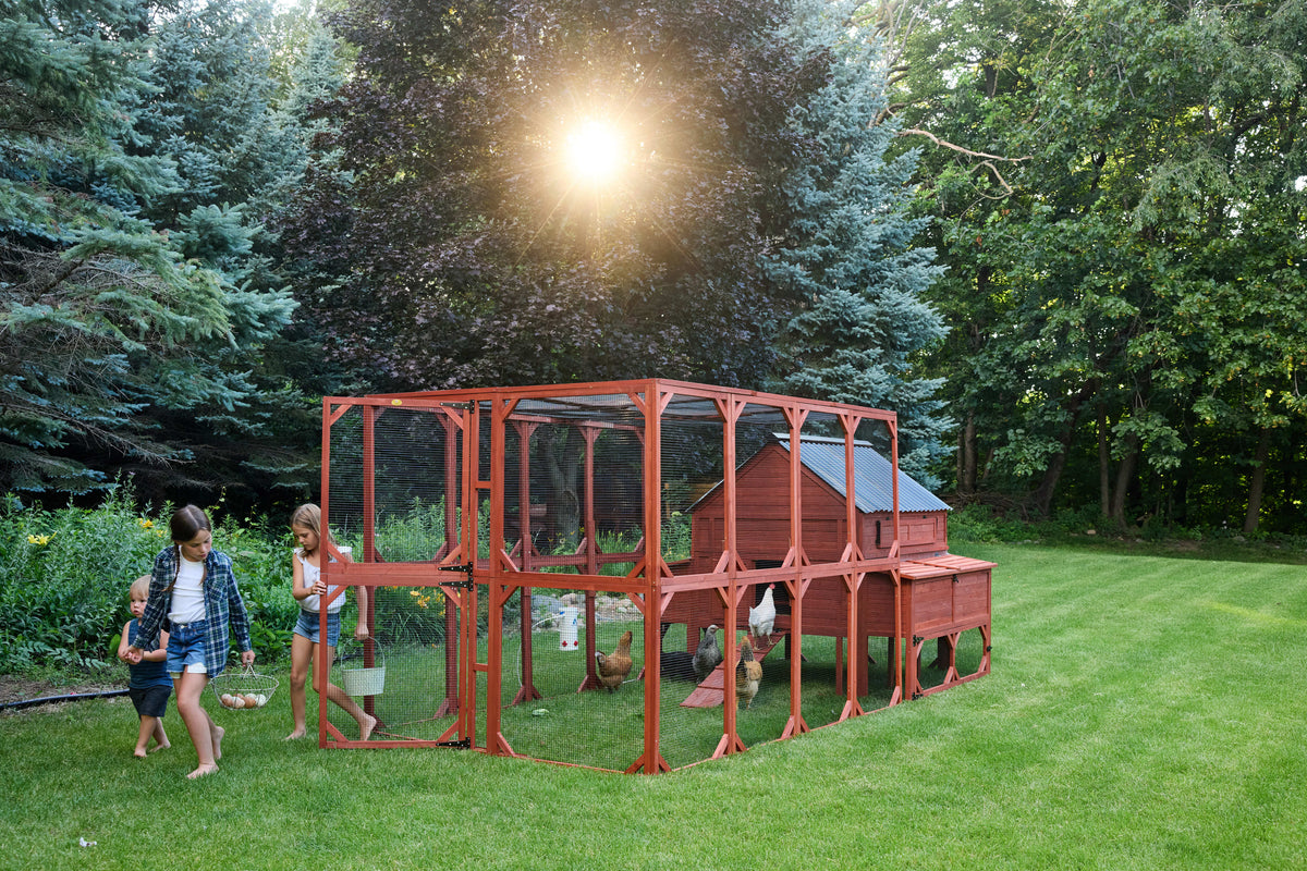 Chicken Coop for 15 Chickens – Brahma Chicken Coop