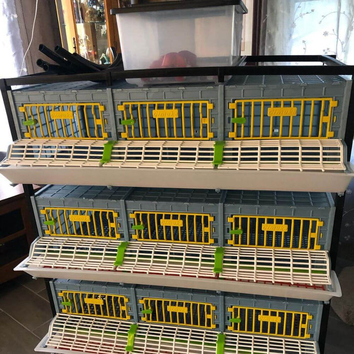 Hatching Time Cimuka. QUail cages can be seen with 3 tier assembly.