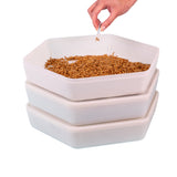 Hatching Time. Mealworm growing pods can be seen stacked with an open lid on top with a mealworm being picked out of bunch.
