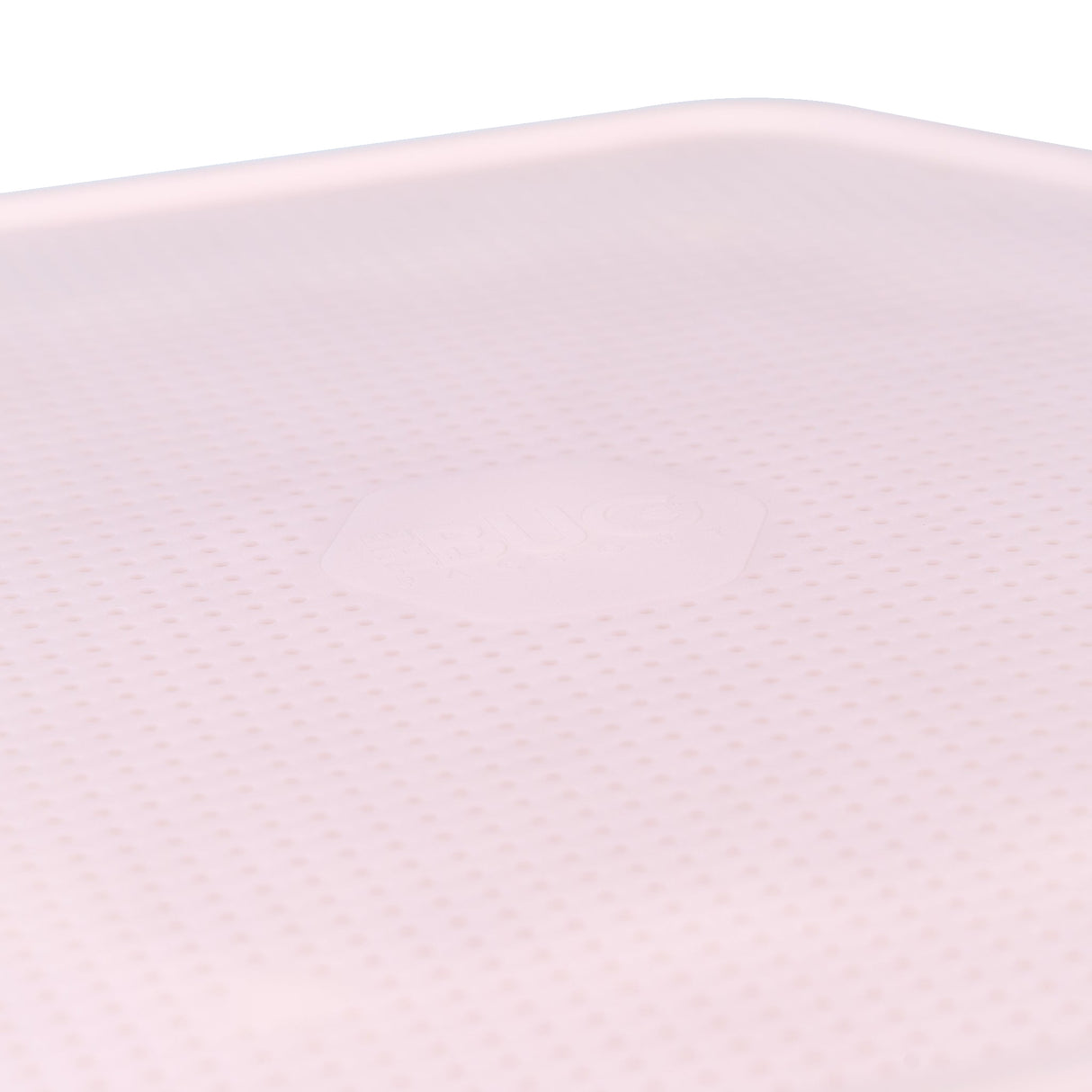 Hatching Time. Mealworm Growing Pod can be seen close up view of lid.