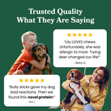 Deer Skin Strips - Dog Treats