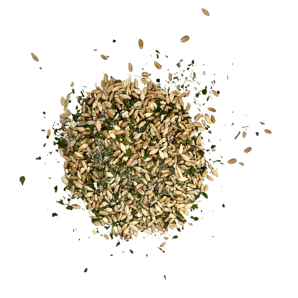 Digest and Detox herbs and seeds on a white background