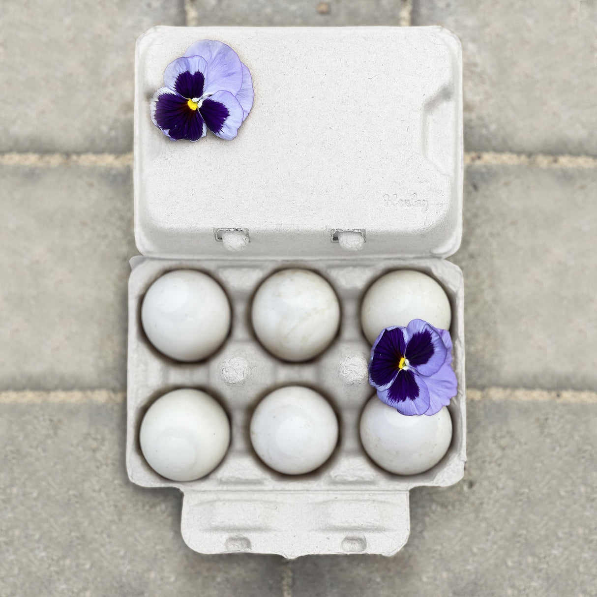 Hatching Time. Natural Duck egg cartons can be seen with 6 duck eggs in carton. There are flowers on the carton.