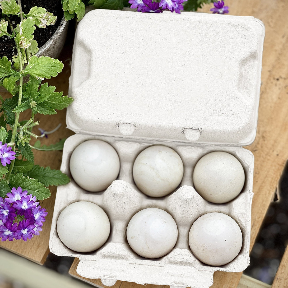 Hatching Time. Natural duck egg cartons can be seen on table next to flowers with carton full of 6 duck eggs.